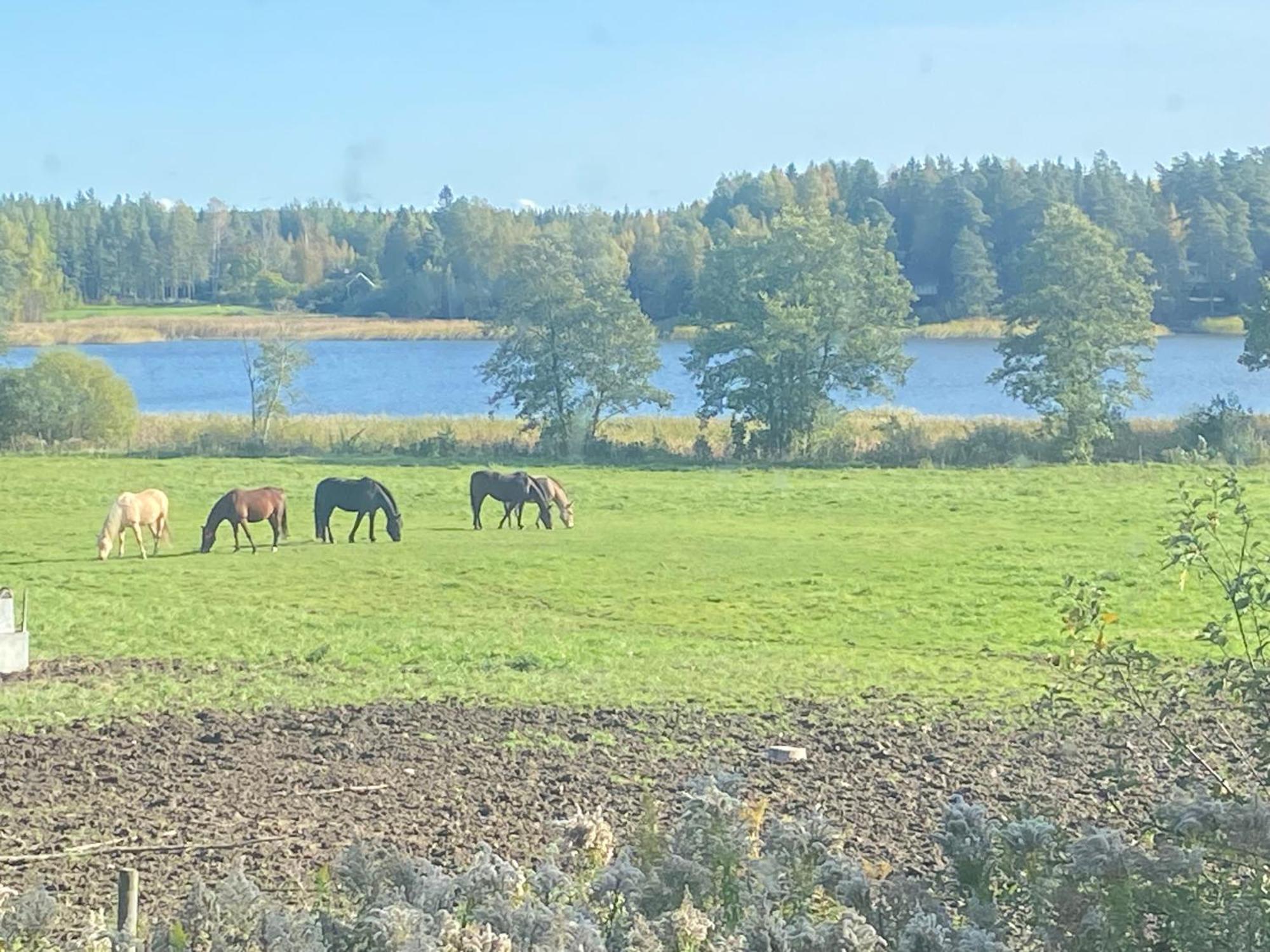 Гостьовий будинок Ulvsby Ranch Карлстад Екстер'єр фото